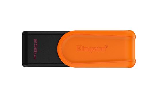 Obrázok z KINGSTON USB kľúč  256GB USB 3.2 Gen 1 DataTraveler Exodia S B+O
